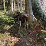 img-20250411-wa0010