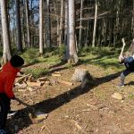 img-20250411-wa0014