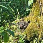 img-20250430-wa0006