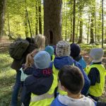 img_20241008_100018