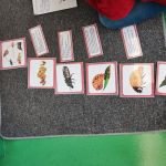img_20241128_102158
