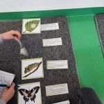 img_20241128_102210