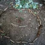 landart4